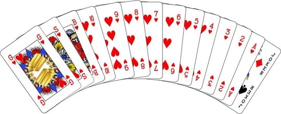 GSB Genderneutrale Speelkaarten - Pride Editie - Bridge Formaat 10 GSB Genderneutrale Speelkaarten - Pride Editie - Bridge Formaat - Afbeelding 8