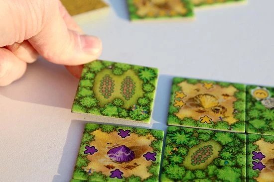 White Goblin Games Cacao - Bordspel 5 White Goblin Games Cacao - Bordspel - Afbeelding 3