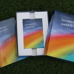 Gevoelenskwartet Gevoelens KWARTET -Spellen-Voor-Volwassenen Winkel 550x367 8