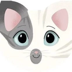 Avenue Mandarine Memory Cats & Expressions 12 Avenue Mandarine Memory Cats & Expressions -Spellen-Voor-Volwassenen Winkel 550x511 7