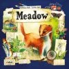 Rebel Studio Meadow -Spellen-Voor-Volwassenen Winkel 550x550 249
