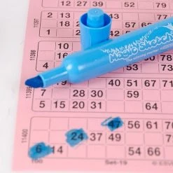 6996.11 Bingostiften 12 Stuks - Kleur: Magenta -Spellen-Voor-Volwassenen Winkel 550x550 47